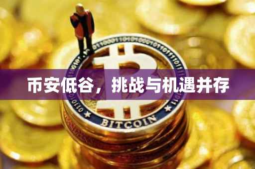 币安低谷，挑战与机遇并存