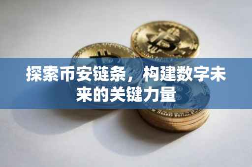 探索币安链条，构建数字未来的关键力量