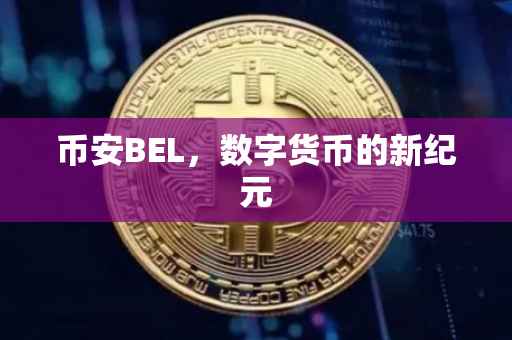 币安BEL，数字货币的新纪元