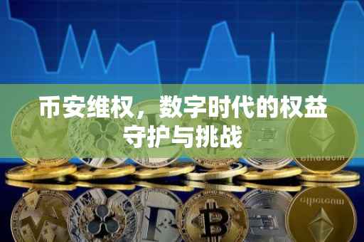 币安维权，数字时代的权益守护与挑战