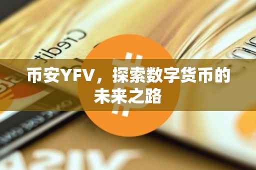 币安YFV,探索数字货币的未来之路