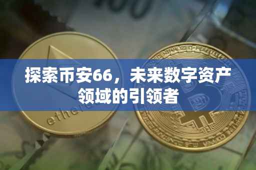 探索币安66,未来数字资产领域的引领者