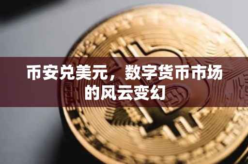 币安兑美元,数字货币市场的风云变幻