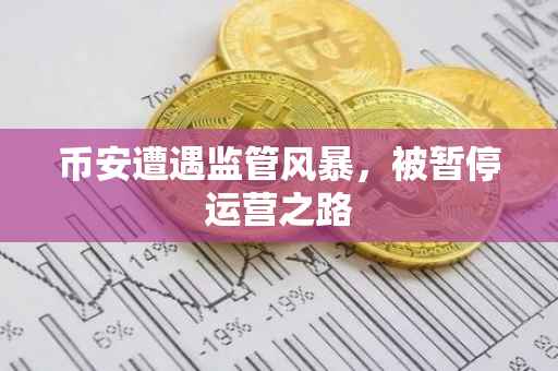 币安遭遇监管风暴,被暂停运营之路