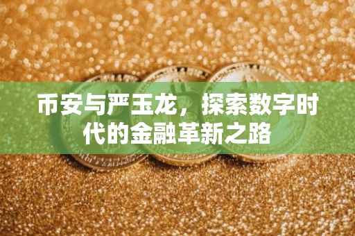 币安与严玉龙,探索数字时代的金融革新之路