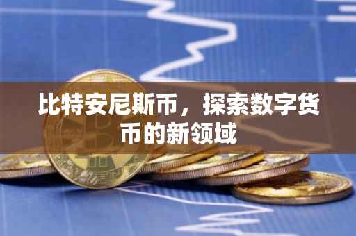 比特安尼斯币,探索数字货币的新领域