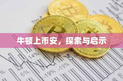 牛顿上币安,探索与启示