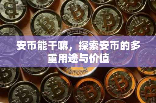 安币能干嘛，探索安币的多重用途与价值