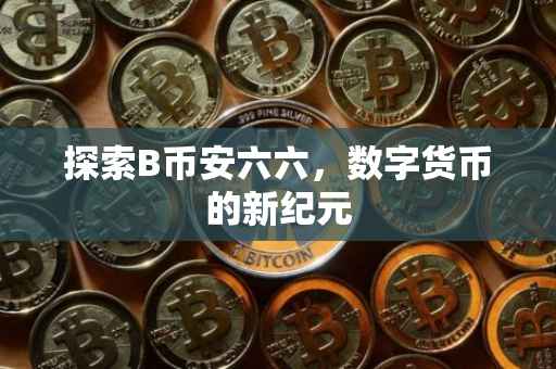 探索B币安六六，数字货币的新纪元