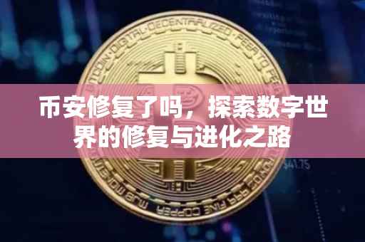 币安修复了吗，探索数字世界的修复与进化之路
