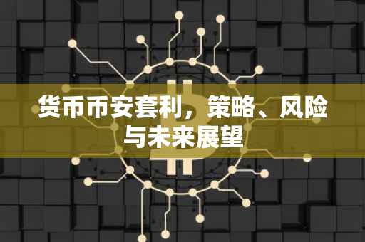 货币币安套利，策略、风险与未来展望