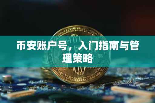 币安账户号，入门指南与管理策略