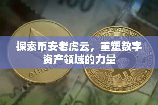 探索币安老虎云，重塑数字资产领域的力量