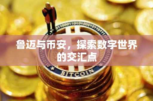 鲁迈与币安，探索数字世界的交汇点