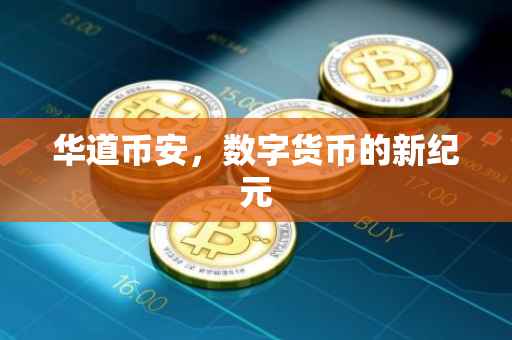 华道币安，数字货币的新纪元