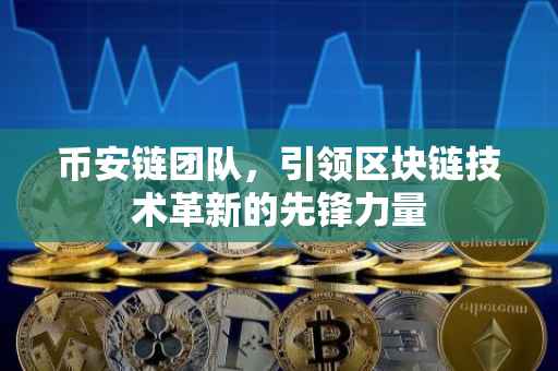 币安链团队，引领区块链技术革新的先锋力量