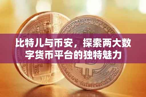 比特儿与币安，探索两大数字货币平台的独特魅力
