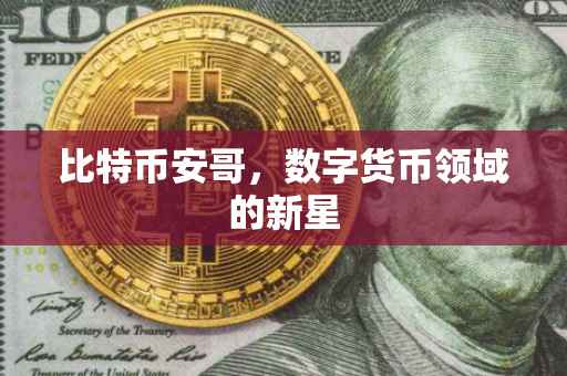 比特币安哥，数字货币领域的新星