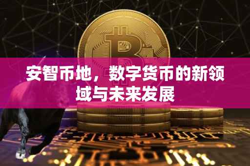 安智币地，数字货币的新领域与未来发展