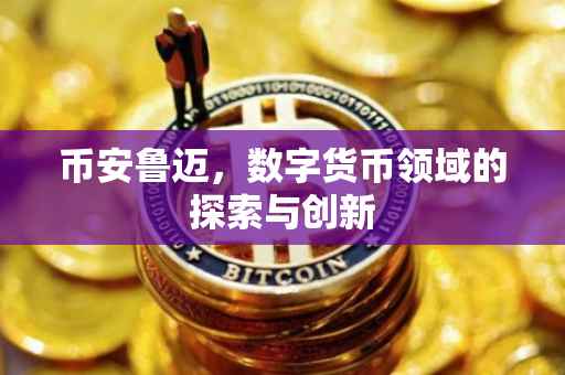 币安鲁迈，数字货币领域的探索与创新