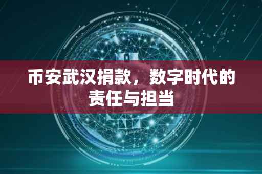 币安武汉捐款，数字时代的责任与担当