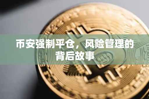 币安强制平仓，风险管理的背后故事