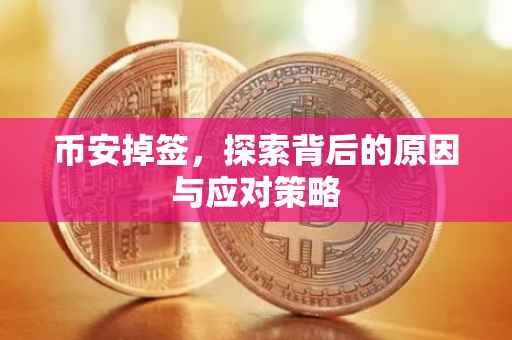 币安掉签，探索背后的原因与应对策略
