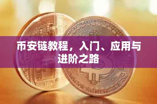 币安链教程,入门、应用与进阶之路