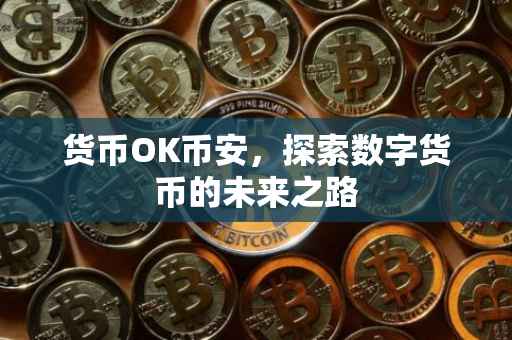 货币OK币安,探索数字货币的未来之路