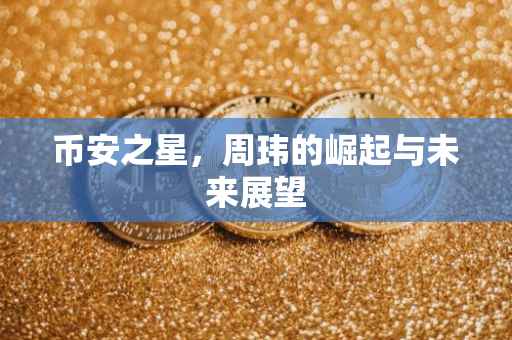 币安之星，周玮的崛起与未来展望