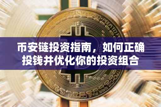 币安链投资指南,如何正确投钱并优化你的投资组合