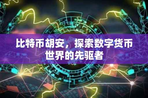 比特币胡安,探索数字货币世界的先驱者