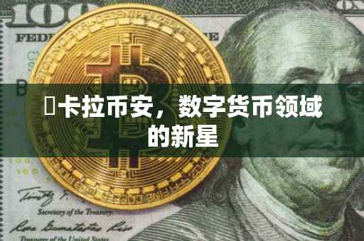 哋卡拉币安,数字货币领域的新星