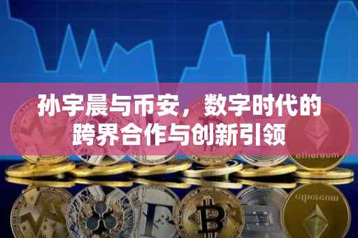 孙宇晨与币安,数字时代的跨界合作与创新引领