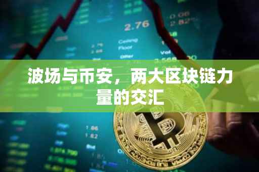 波场与币安,两大区块链力量的交汇