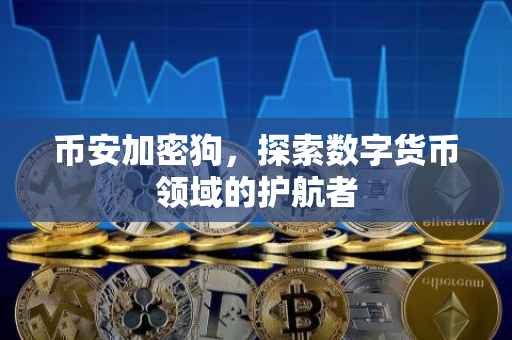 币安加密狗,探索数字货币领域的护航者