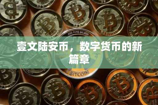 壹文陆安币，数字货币的新篇章
