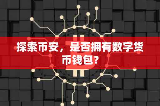 探索币安,是否拥有数字货币钱包?