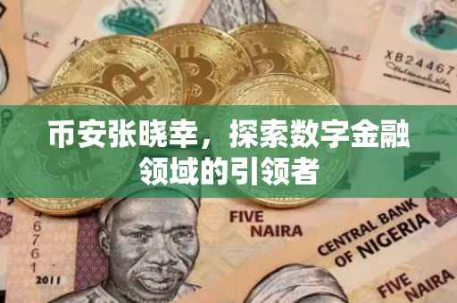 币安张晓幸,探索数字金融领域的引领者