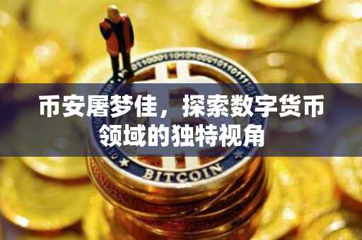 币安屠梦佳,探索数字货币领域的独特视角