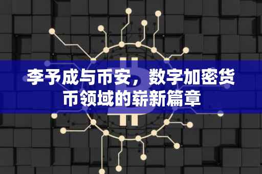 李予成与币安,数字加密货币领域的崭新篇章