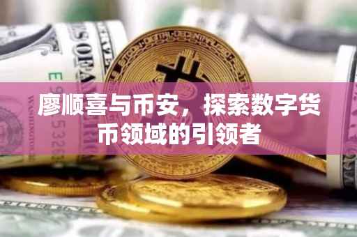 廖顺喜与币安,探索数字货币领域的引领者