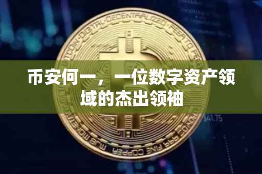 币安何一,一位数字资产领域的杰出领袖