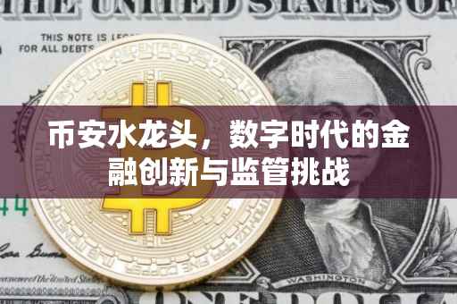 币安水龙头,数字时代的金融创新与监管挑战