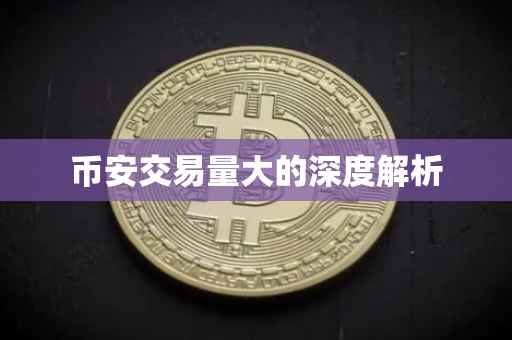 币安交易量大的深度解析