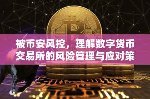被币安风控,理解数字货币交易所的风险管理与应对策略