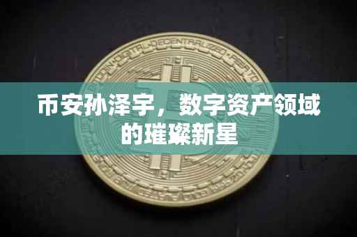 币安孙泽宇,数字资产领域的璀璨新星