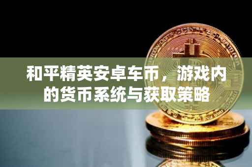 和平精英安卓车币,游戏内的货币系统与获取策略