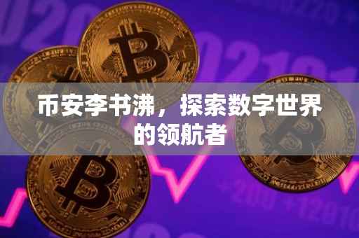 币安李书沸,探索数字世界的领航者
