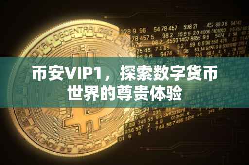 币安VIP1,探索数字货币世界的尊贵体验